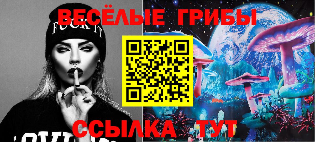Галлюциногенные грибы Psilocybe Аша